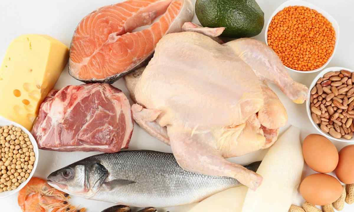 Pilihan Protein Berkualitas untuk Energi dan Kesehatan Jangka Panjang